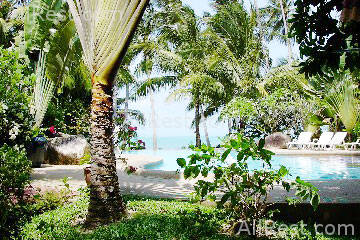 Coconut Tropicana 10